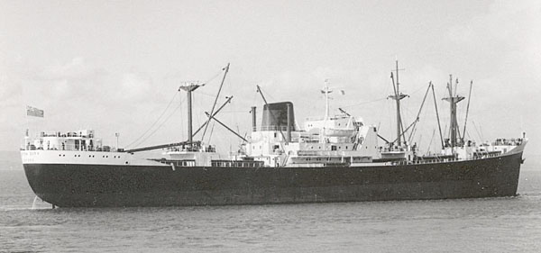 View of Houston City